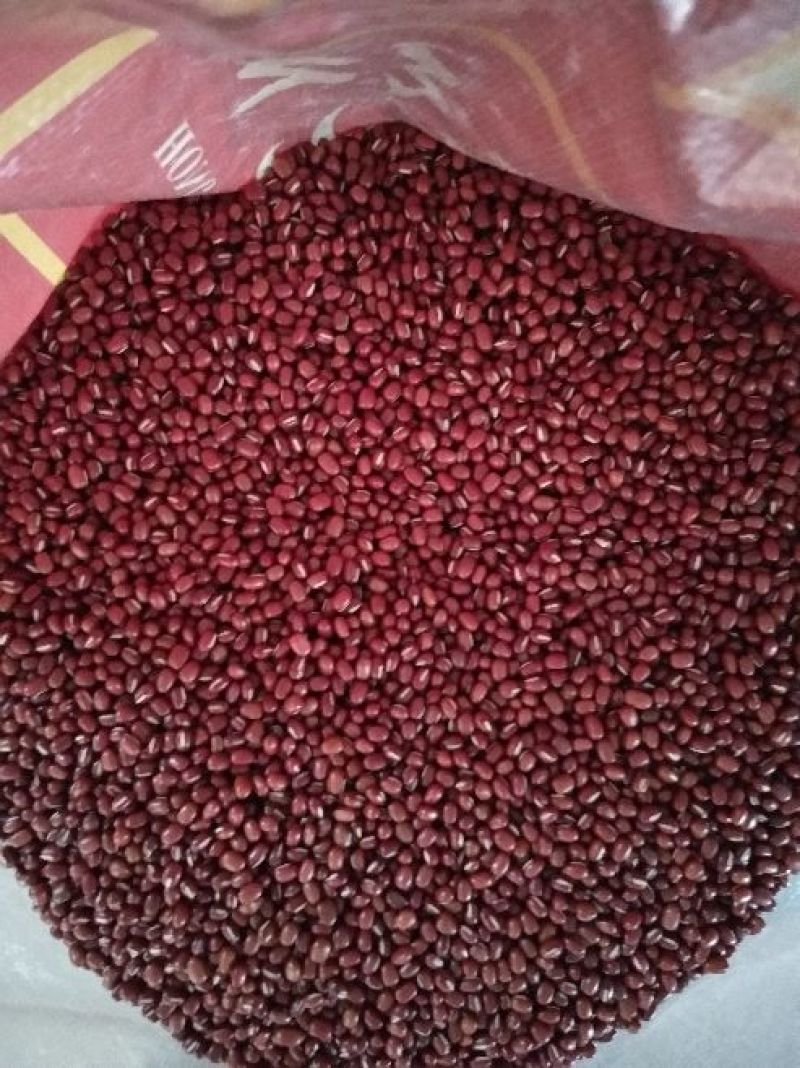 红小豆40斤一袋