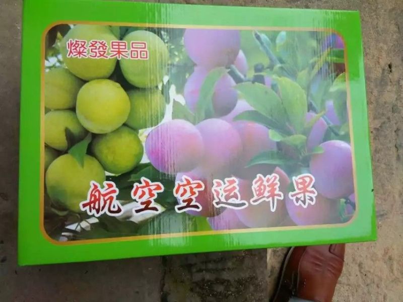 四川半边红李子，青红脆李