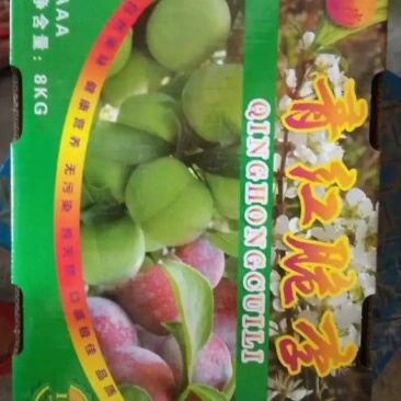四川半边红李子，青红脆李