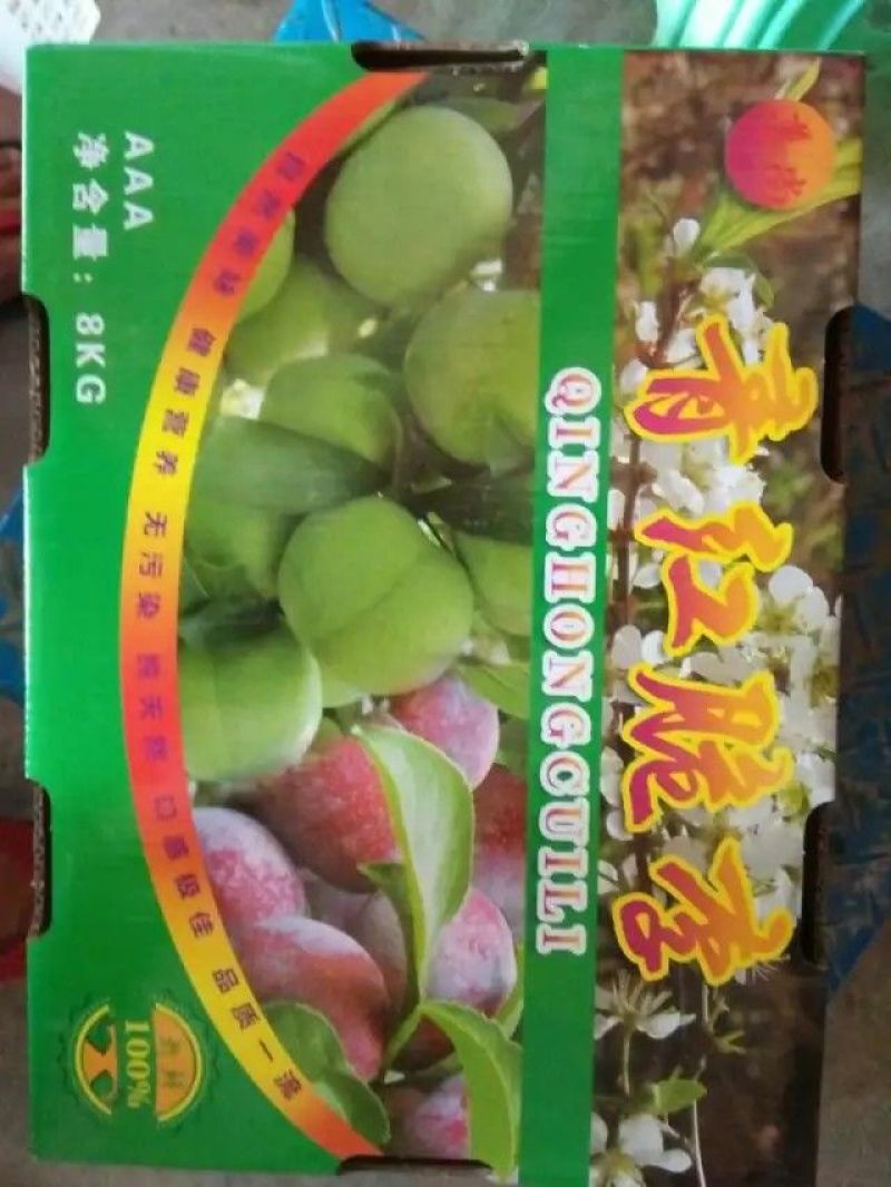 四川半边红李子，青红脆李