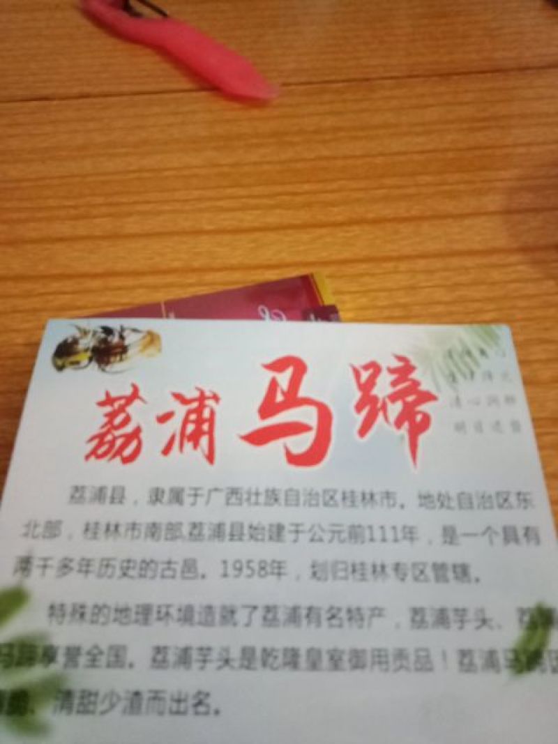 广西特产荔浦马蹄，大号，10斤装一箱代发