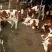 奶牛肉牛可代养自己有养殖场，诚信为本合作共赢