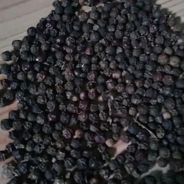 黑胡椒