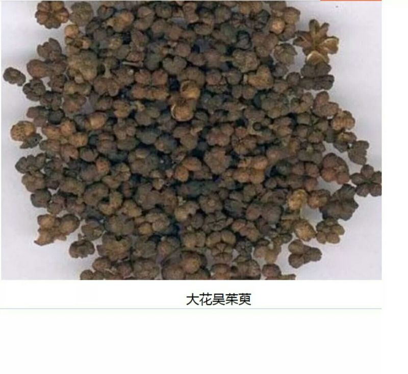 秦岭野生吴茱萸略阳吴萸无硫中小花统新货半斤包邮