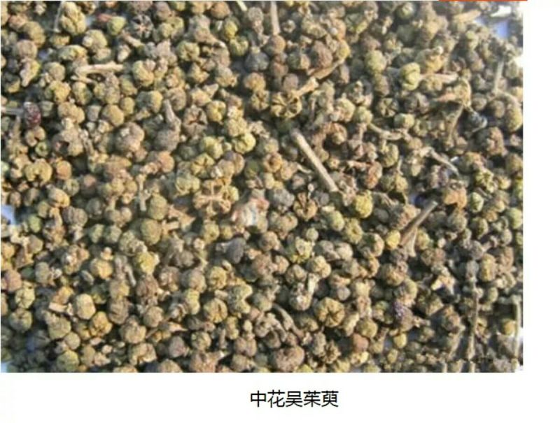 秦岭野生吴茱萸略阳吴萸无硫中小花统新货半斤包邮
