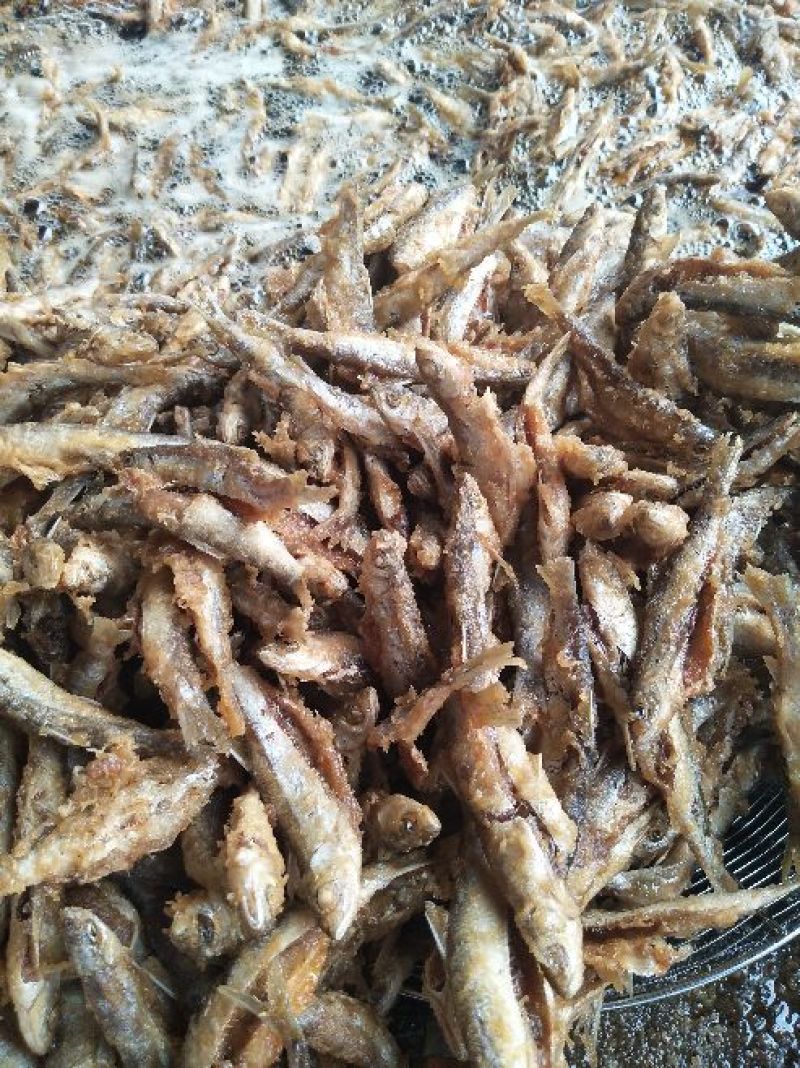 八到十二公分的清水河鱼，批发价格还可优惠