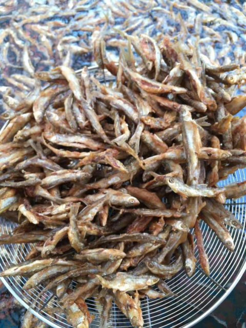 八到十二公分的清水河鱼，批发价格还可优惠