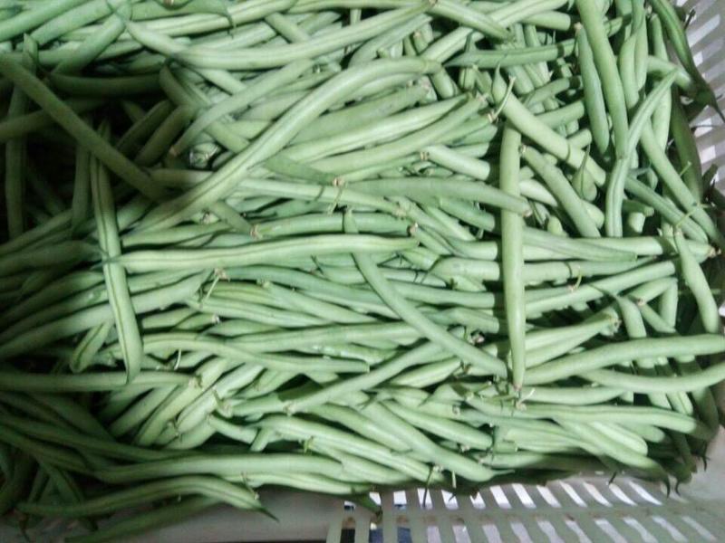 山西蔬菜大量上市了，目前有地豆，大扁豆