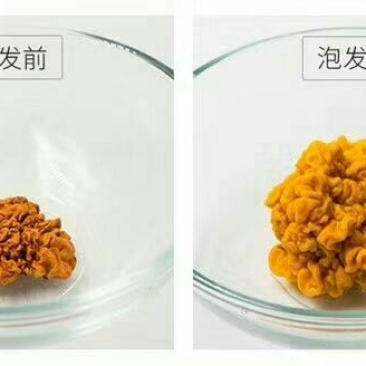金耳