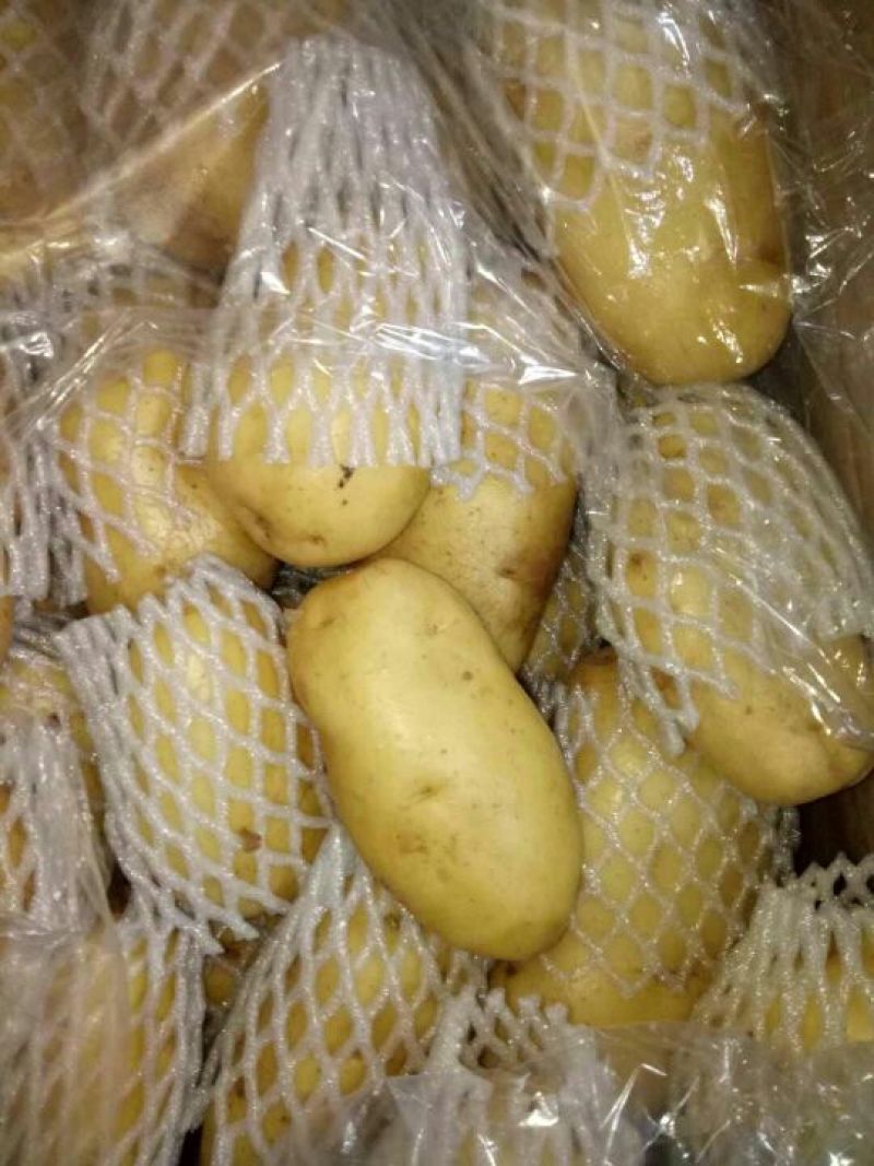 精品（荷兰十五土豆）货源充足、代发各地商超市场