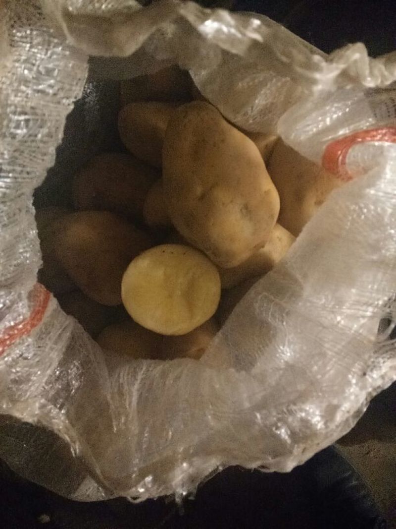 精品（荷兰十五土豆）货源充足、代发各地商超市场