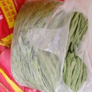 大扁，绿龙豆角