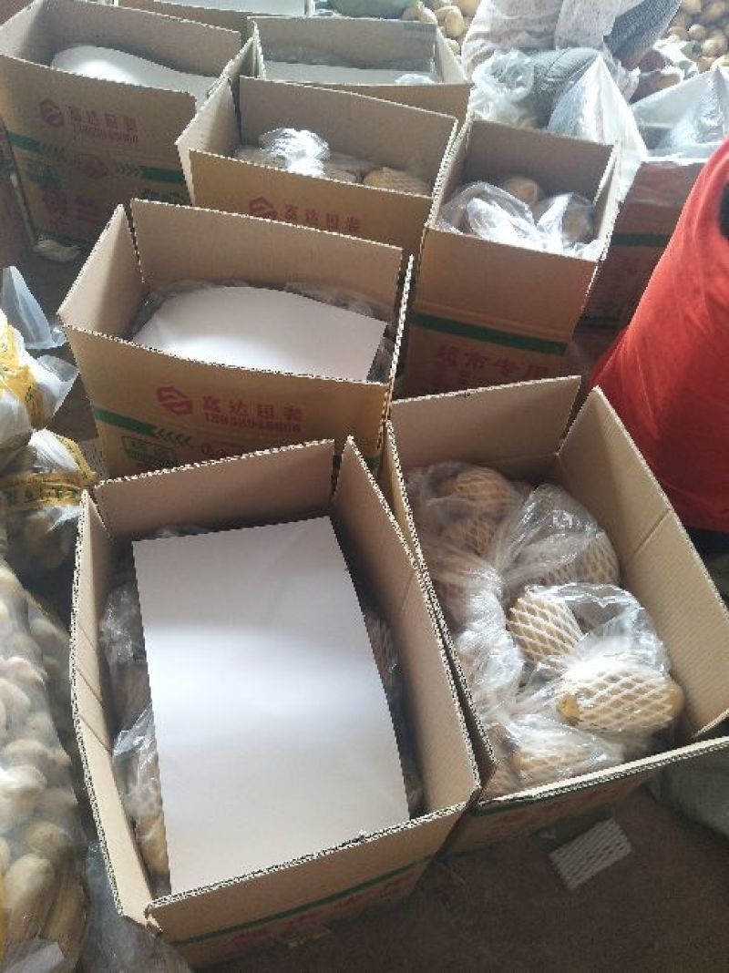 荷兰十五土豆，黄心土豆，各种包装，大量供应，质量保证