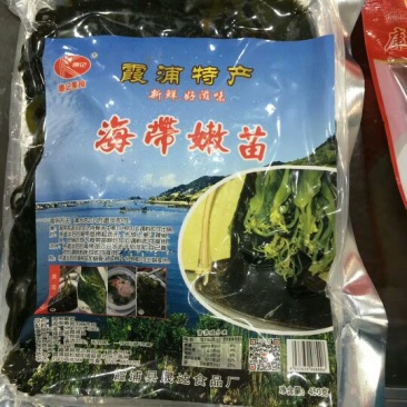 海带嫩苗