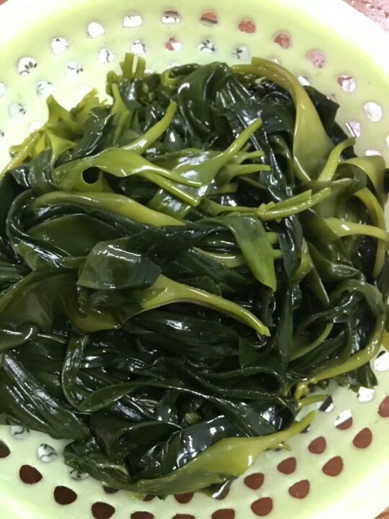 海带嫩苗
