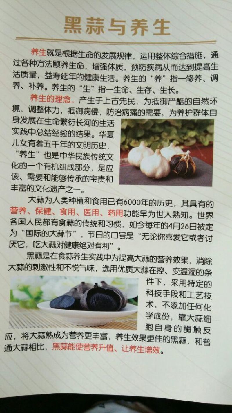 山东省金乡县大蒜之乡黑蒜