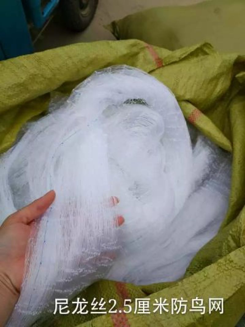 防鸟网0.22元一平方包邮！可视频看货选货一亩田线上交易