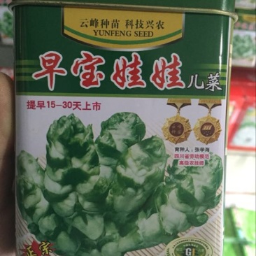 娃娃菜种子97%以上