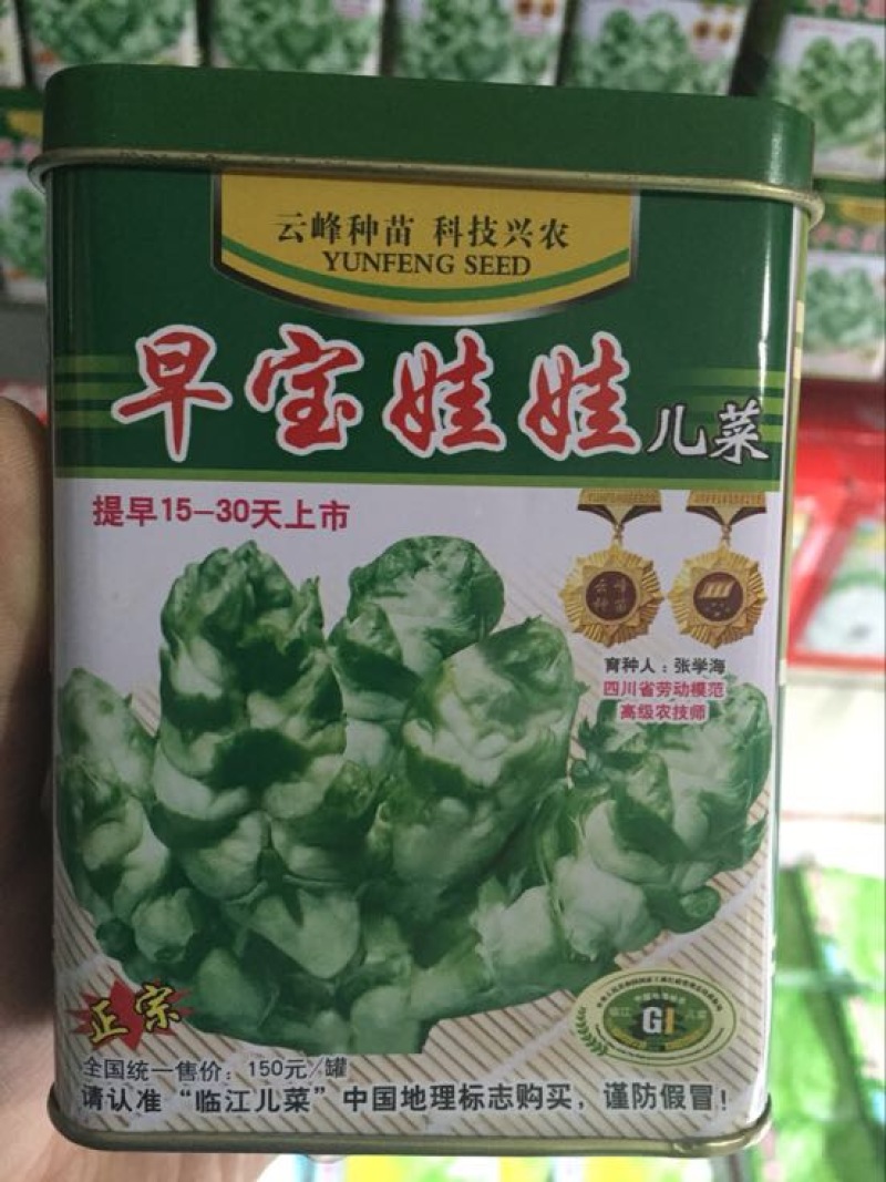 娃娃菜种子97%以上