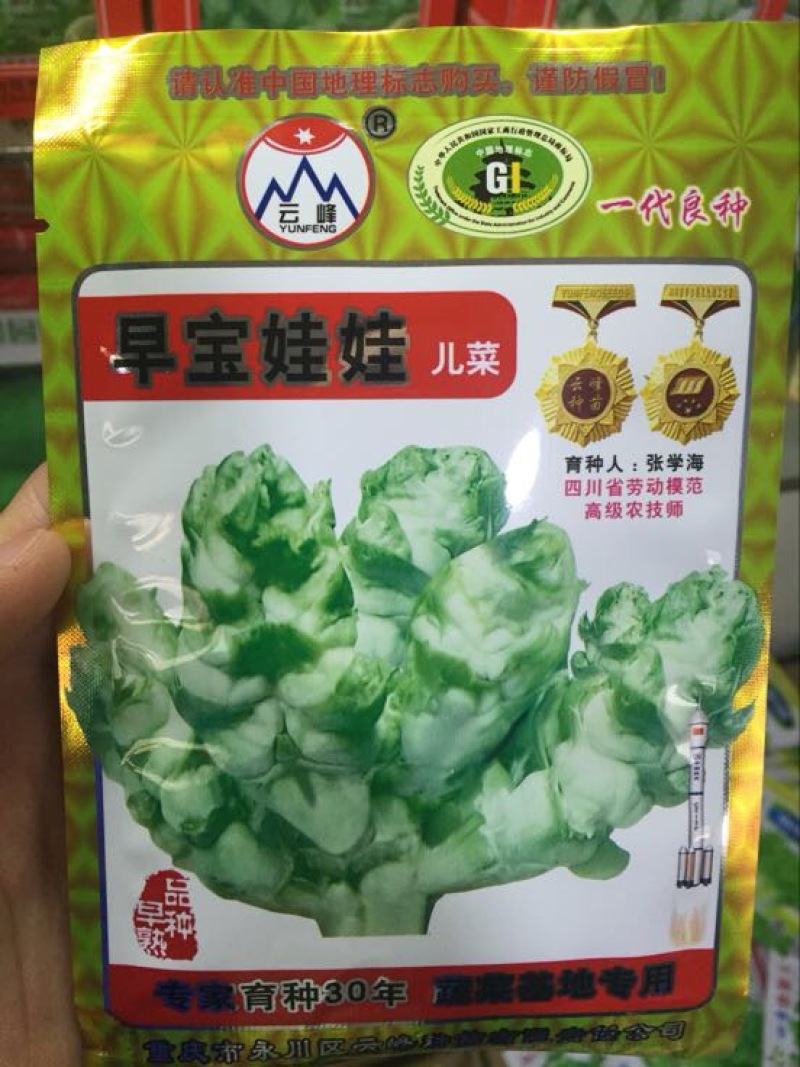 娃娃菜种子97%以上