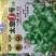 娃娃菜种子97%以上