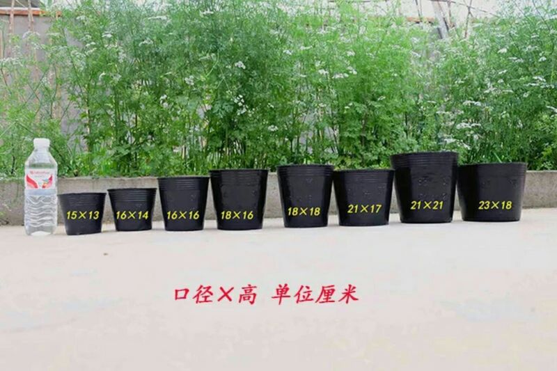 营养钵育苗袋营养袋果树花卉专用