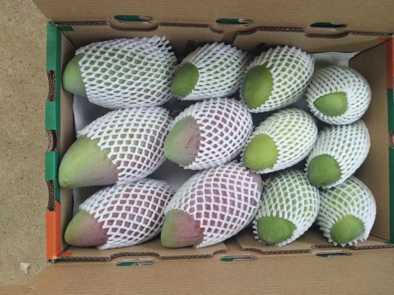 ，爱文，凯特，吉禄