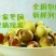 山西临猗庙上冬枣