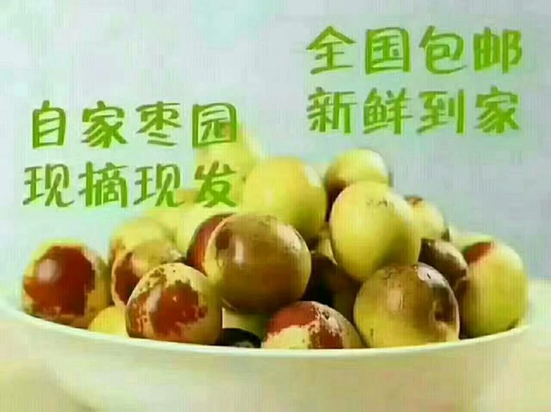 山西临猗庙上冬枣