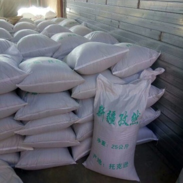 新疆小茴香纯种孜然，产地直销