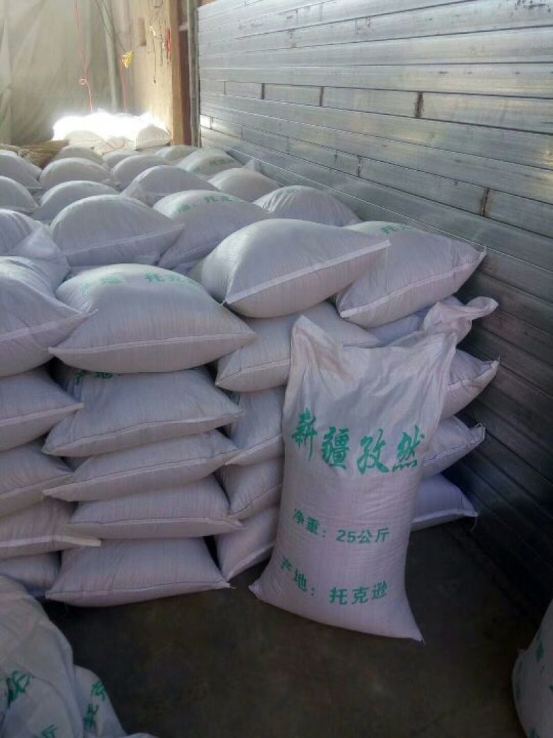 新疆小茴香纯种孜然，产地直销