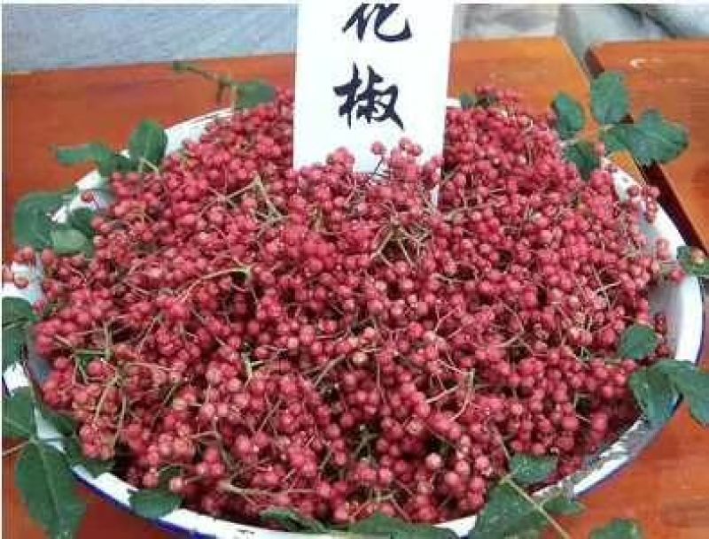 陕西富平花椒(齐椒)大量销售，欢迎大家咨询选购。