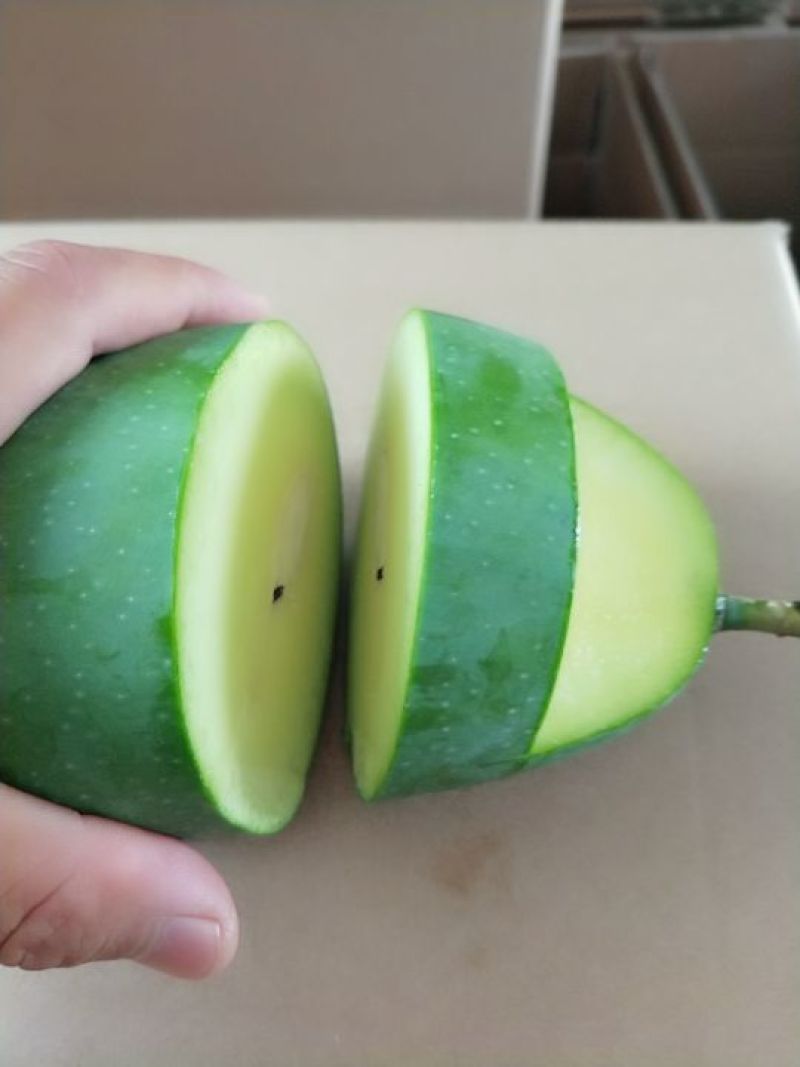 大青芒