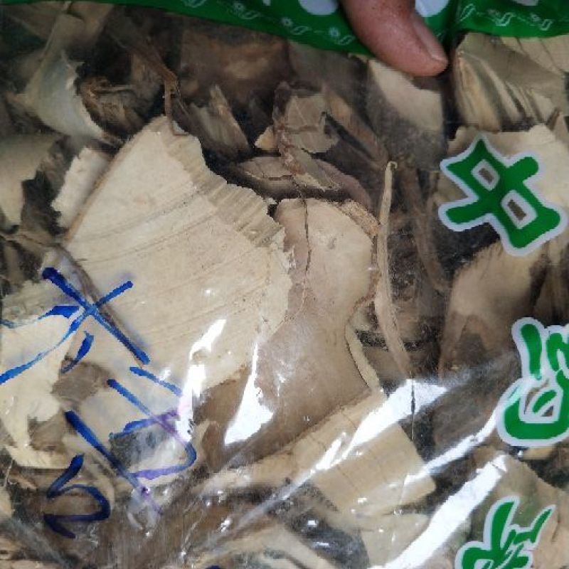 梧桐根
