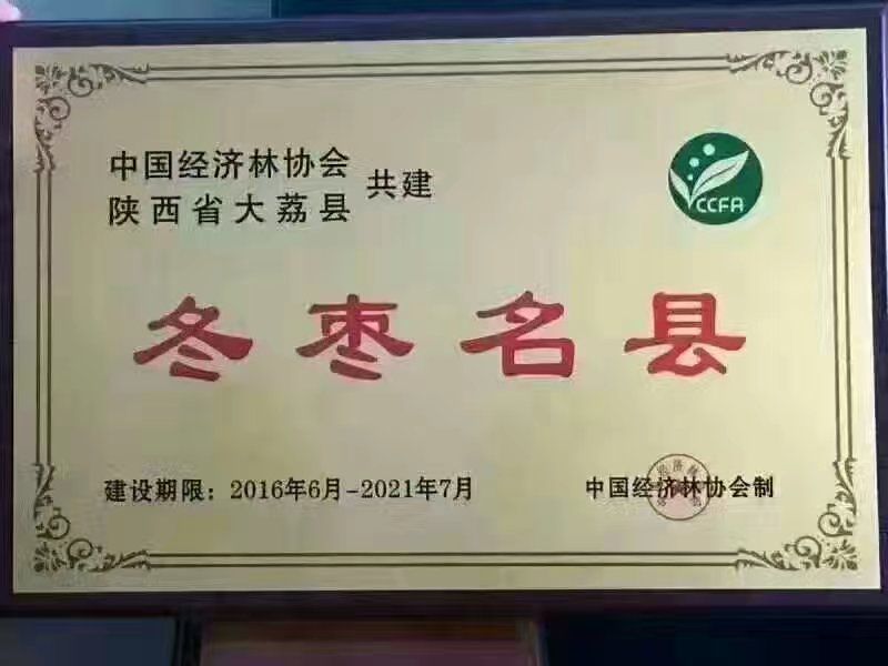 大荔冬枣，大荔冬枣基地批发