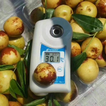 大荔冬枣，大荔冬枣基地批发