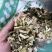 颠茄草