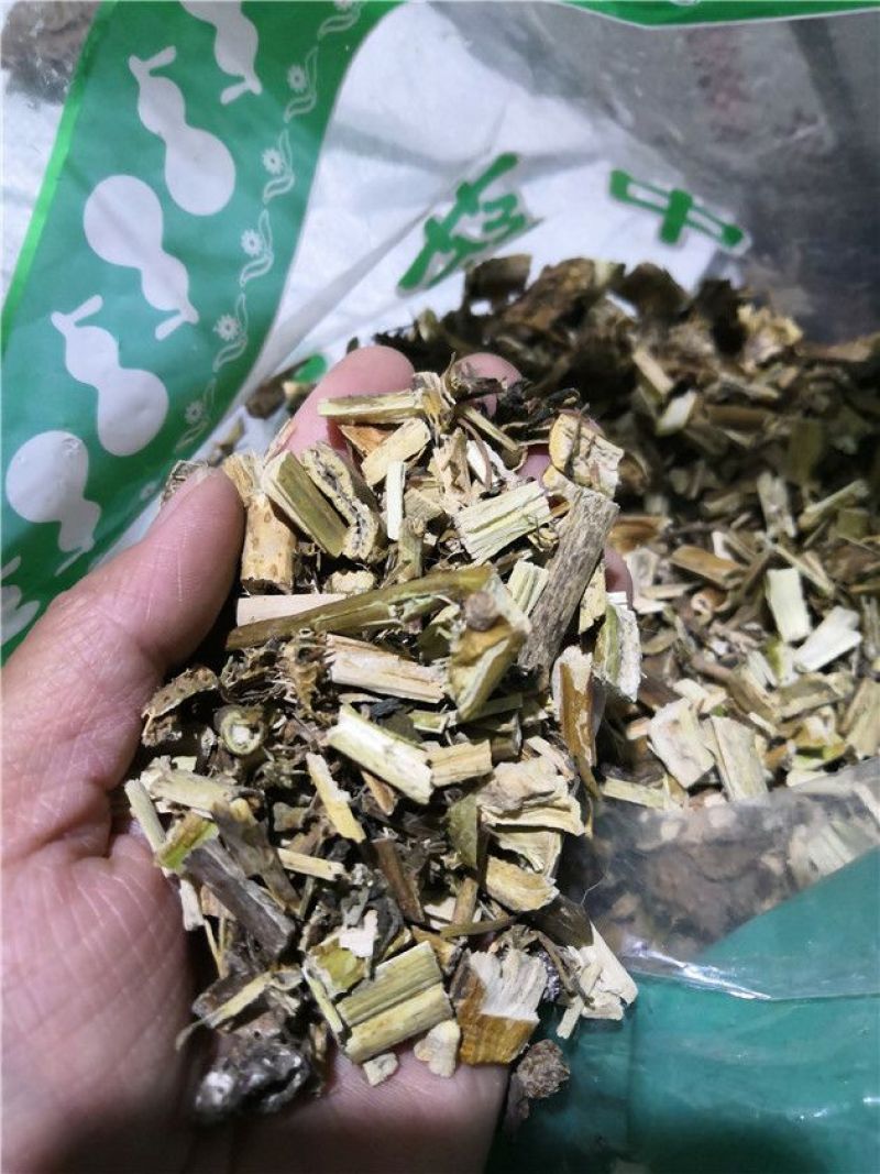 颠茄草