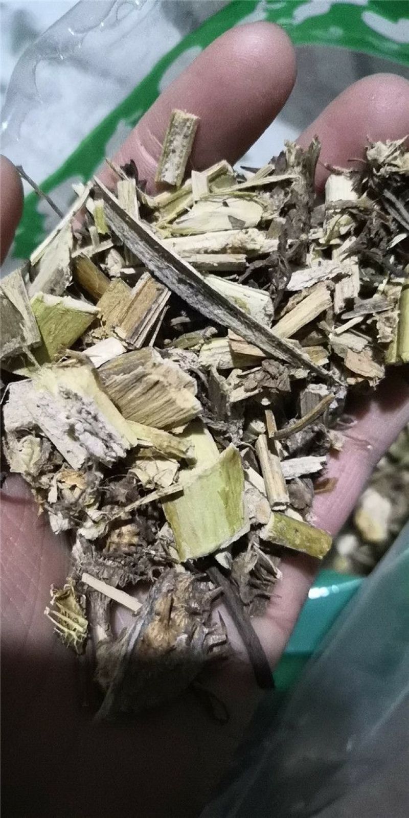 颠茄草