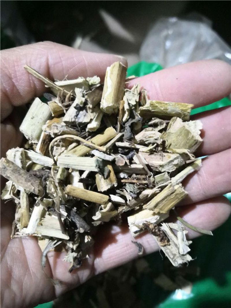 颠茄草