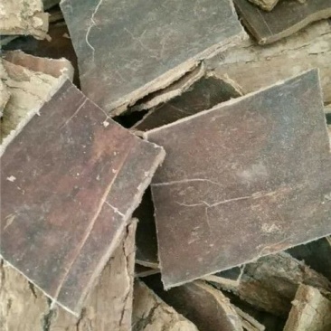 杜仲皮干货