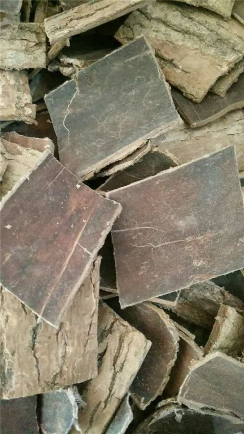 杜仲皮干货