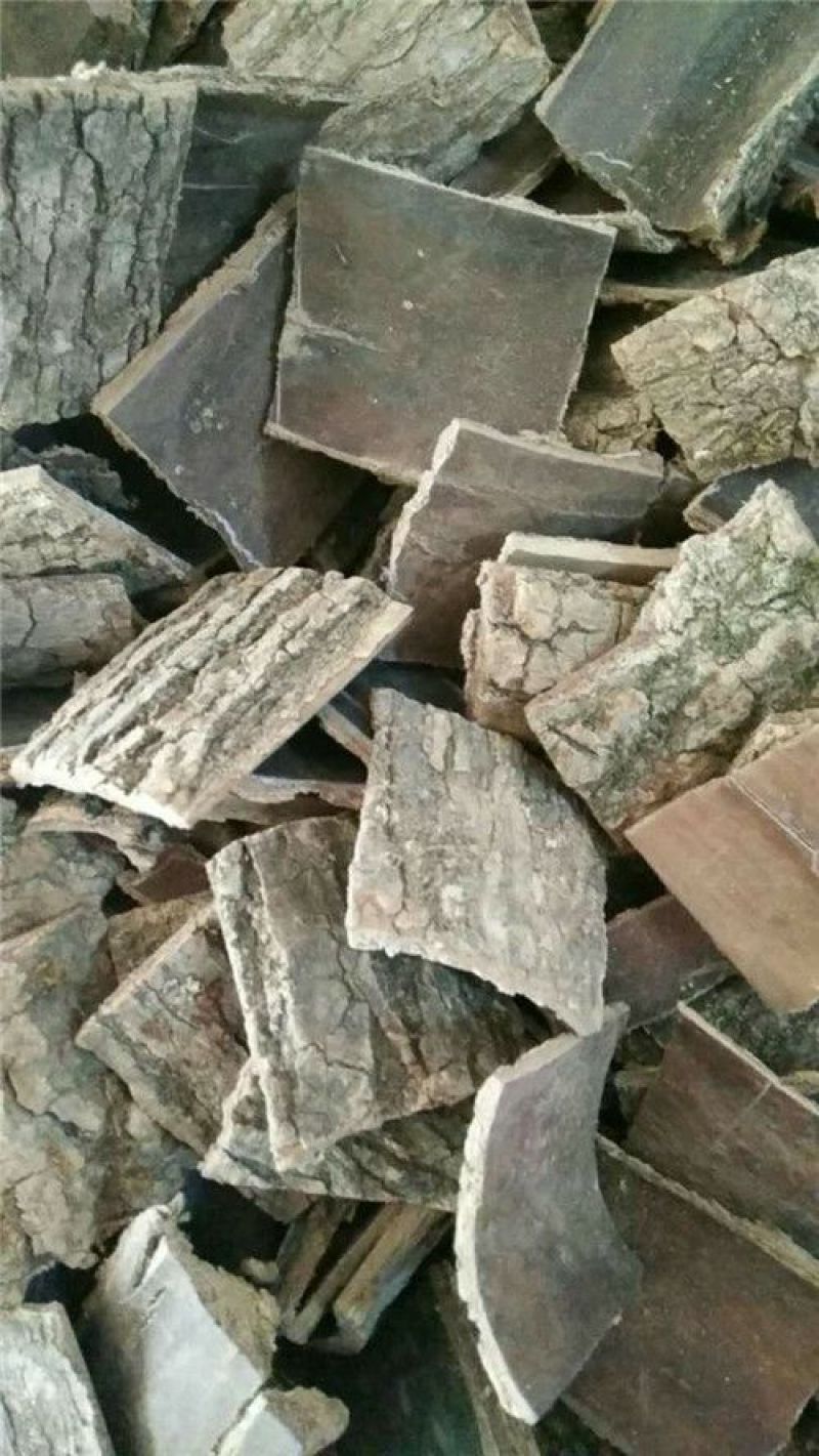 杜仲皮干货