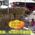椰皇1.5~2斤