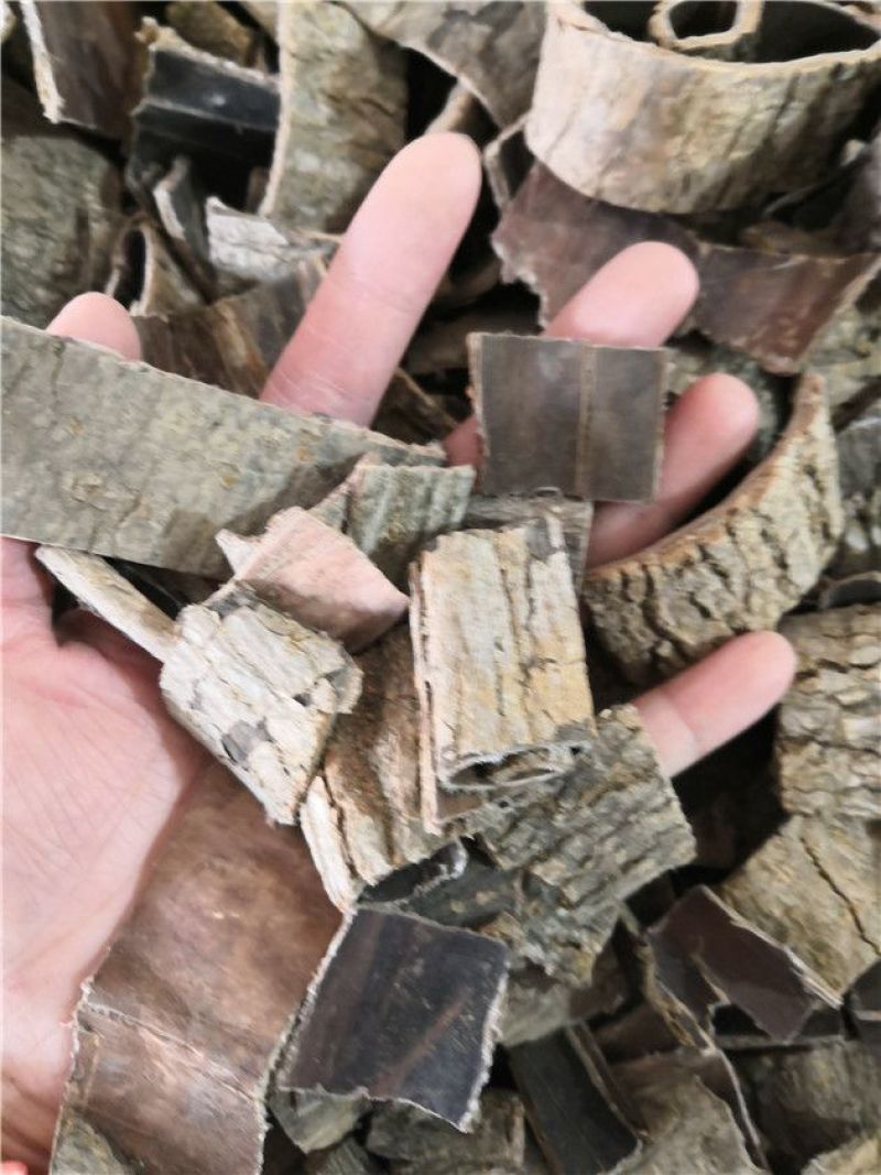 杜仲皮统货