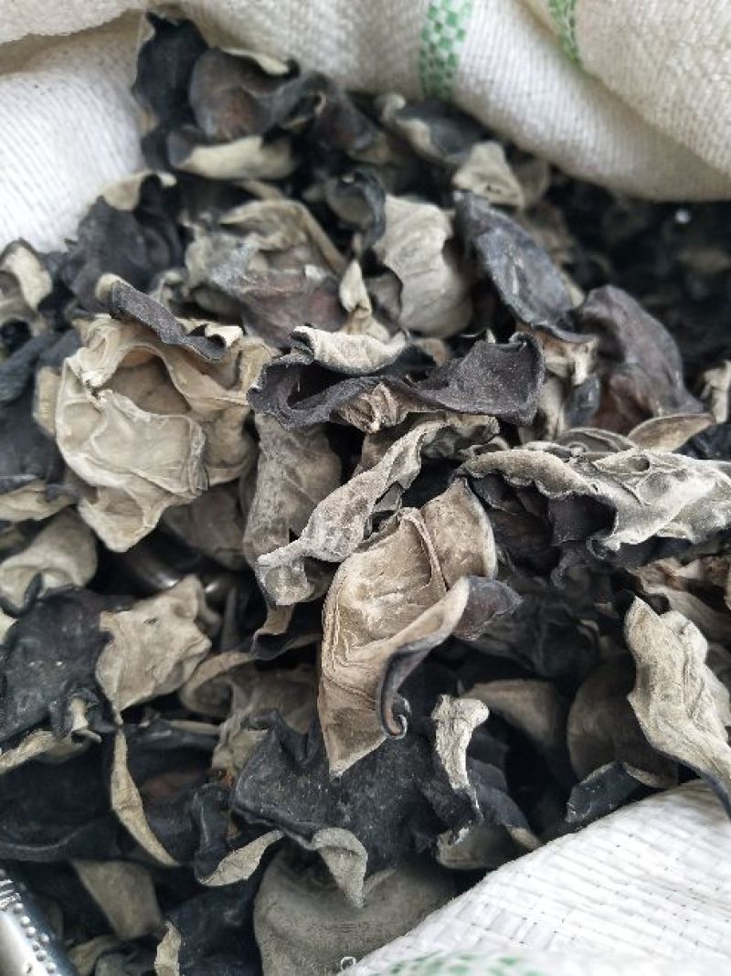 干木耳一级