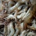 虾干，河虾干一级
