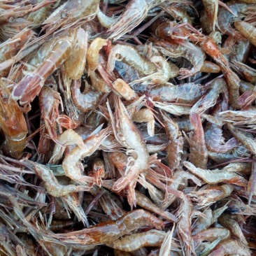 虾干，河虾干一级