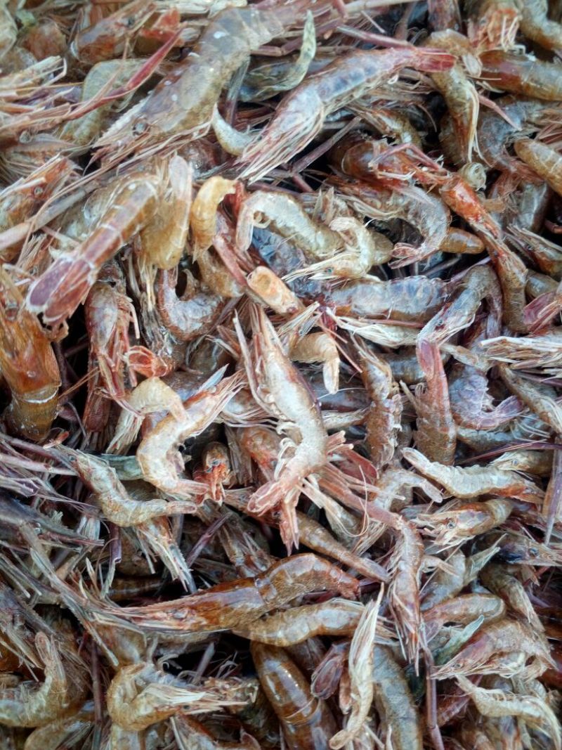 虾干，河虾干一级