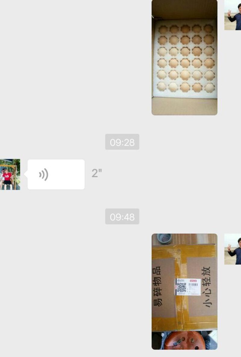 斗鸡蛋出售，8元一个